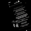 蝙蝠 - 飞花 (Remix)