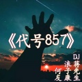 浪子康、何友、蒋先生 - 飞车经典旋律 (咚鼓版)