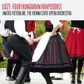 Vienna State Opera Orchestra、Anatol Fistoulari、The Vienna State Opera Orchestra、Franz Liszt - S. 244