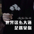 苏可可 - 数羊歌