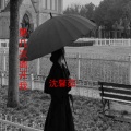 沈馨茹 - 梦醒时分 (Remix)