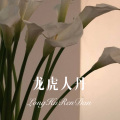 徐懵圆 - 爱上别人是快乐的事 (Remix)
