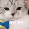 何雨析 - 怎么了