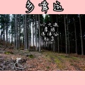 颜朵、九魂、虞姬、洋菟 - 多幸运给我火到极限