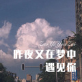 DJ光太 - 昨夜又在梦中遇见你
