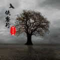 四川可乐 - 闯天下