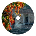 Miguel Garji、Javi Viana - Where Are You
