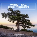 Wlady、Chris Montanini、T.N.Y. - Andrea (Dub)