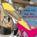 Zippy Kid、Ruslan Troknyuk - Push More Syro U473t7+Z