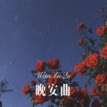 DJ Mr.Zi - 晚安曲
