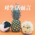 梦词 - **最火DJ蹦迪舞曲