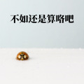 梦词 - 不如还是算了吧