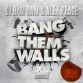 DJ Bam Bam、Alex Peace - Bang Them Walls (Loutaa Remix)(Album Version)