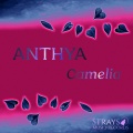 Anthya - Camelia (Original)