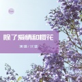 汉堡 - 除了爱情和樱花