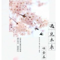硕影晨 - 火红萨日朗 (小黄人版)