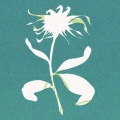 罪人虾饺 - flos