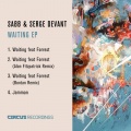 Sabb、Serge Devant、Bontan、Forrest - Waiting (Bontan Remix)