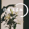 王小奇 - 惊雷 (温柔版) (Remix)