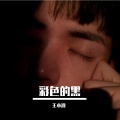 王小浪 - 彩色的黑
