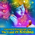 Anupama、Chinthapalli Srinivas、chorus - Radha Krishna Ashtothram