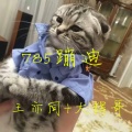大辉哥、王亦同 - 内涵