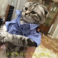 小奶瓶、王亦同、苏可可 - 不在等候的姑娘
