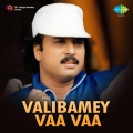 S.P. Sailaja, K.J. Yesudas - Pon Vaana Poongavil