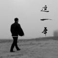 洪凯 - 这一年