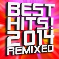 DJ ReMix Factory - Applause (Remix)