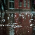 Yoga Sounds、Mother Nature Sound FX、Sonidos de la Naturaleza Relax - Driving in the Rain