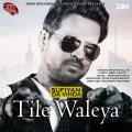 Shahid Mallya - Tile Walleya