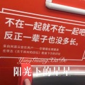 寐加岛 - 别辜负我的不打扰