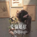 球球 - 爱情悬崖 (Remix)