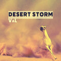 Valentin Stip - Experience