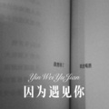 球球 - 阿依嫫 (Remix)
