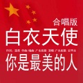 广东彪歌、玄甲永 - 白衣天使你是最美的人 (合唱版)