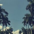 JayB - Valid