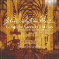 Holland Boys Choir、Netherlands Bach Collegium、Pieter Jan Leusink - VII. Choral. Ach Herr, lass dein lieb Engelein