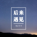 冷叶 - 口是心非 (DJ版)