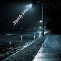 Vince Anthony、Vince Erpenbach - Nightly Vibes