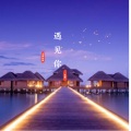九黎如嫣、灸舞 - 遇见你 (咚鼓版)