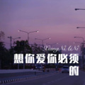 DJ六大大 - 鹰少年 (Remix)