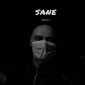Sane - Мысли