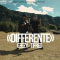 Geezy、Ti Fred - Différente