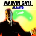 Marvin Gaye - Funny Valentine