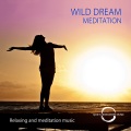 Quiet Meditation Music - A Journey Into Happiness - Meditation Version