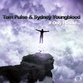 Tom Pulse、Sydney Youngblood - If Only I Could