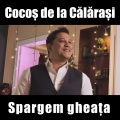 Narcisa、Cocos de la Calarasi - Nebun Din Iubire