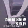 九妹 - 我想和你生活在某个小镇 (Remix)